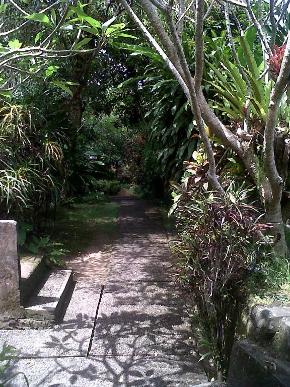 Arjana Bungalows 2 Ubud Buitenkant foto